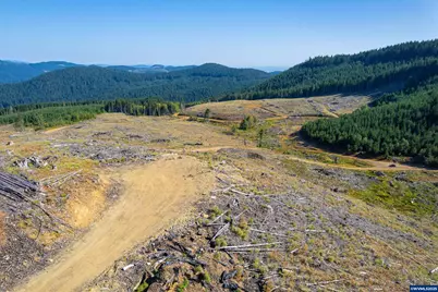0 Bald Mountain Rd, Beaver, OR 97108 - Photo 7