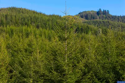 0 Elmer Miller Rd, Siletz, OR 97380 - Photo 11