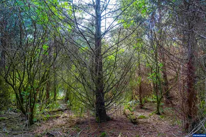 0 Elmer Miller Rd, Siletz, OR 97380 - Photo 17