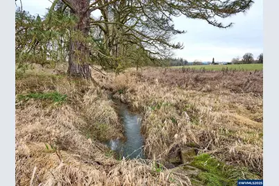 12403 S Eby Rd, Molalla, OR 97038 - Photo 13