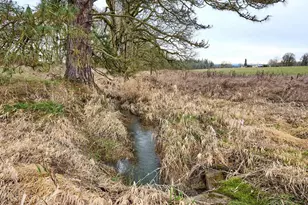 12403 S Eby Rd, Molalla, OR 97038 - Photo 13