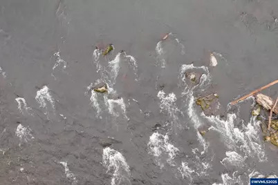 241 Dogwood Dr, Gates, OR 97346 - Photo 27