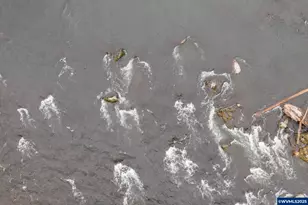 241 Dogwood Dr, Gates, OR 97346 - Photo 27