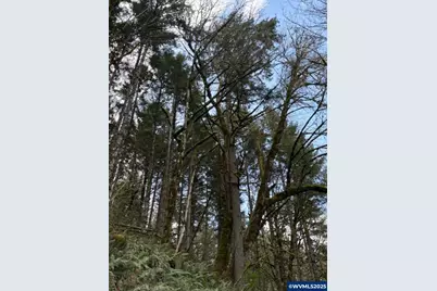 0 Old Railroad Grade Rd, Yamhill, OR 97148 - Photo 7