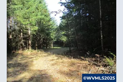 0 Hazelnut Ridge Rd, Scotts Mills, OR 97375 - Photo 9