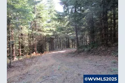 0 Hazelnut Ridge Rd, Scotts Mills, OR 97375 - Photo 15