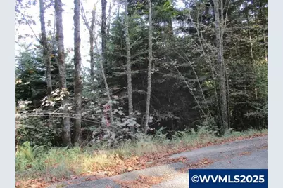 0 Hazelnut Ridge Rd, Scotts Mills, OR 97375 - Photo 23