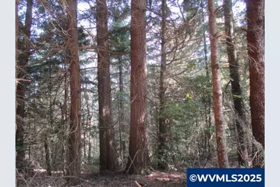 0 Hazelnut Ridge Rd, Scotts Mills, OR 97375 - Photo 5