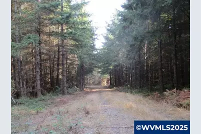 0 Hazelnut Ridge Rd, Scotts Mills, OR 97375 - Photo 11