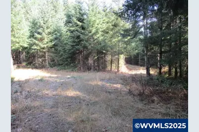 0 Hazelnut Ridge Rd, Scotts Mills, OR 97375 - Photo 17
