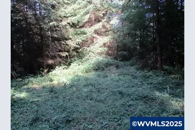 0 Hazelnut Ridge Rd, Scotts Mills, OR 97375 - Photo 13