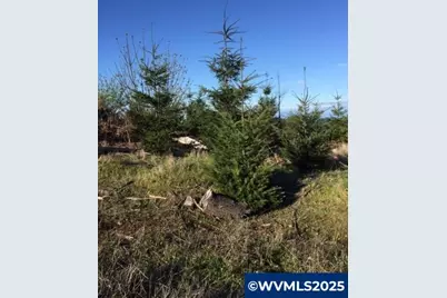 Oakdale Rd, Dallas, OR 97338 - Photo 3