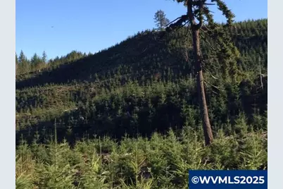 Oakdale Rd, Dallas, OR 97338 - Photo 5