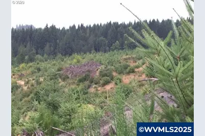 Nw Ridge Rd, Forest Grove, OR 97116 - Photo 5