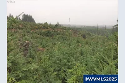Nw Ridge Rd, Forest Grove, OR 97116 - Photo 1