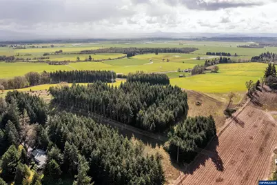 92884 Applegate Trail, Junction City, OR 97448 - Photo 5