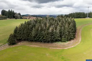 92884 Applegate Trail, Junction City, OR 97448 - Photo 19