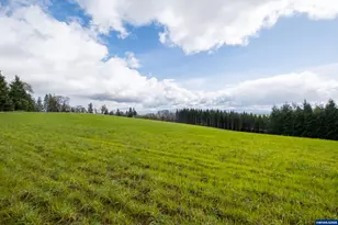 92884 Applegate Trail, Junction City, OR 97448 - Photo 21