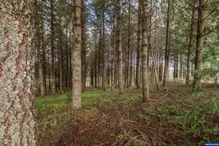 92884 Applegate Trail, Junction City, OR 97448 - Photo 25