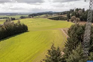 92884 Applegate Trail, Junction City, OR 97448 - Photo 9