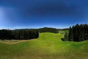 36706 Happy Hallow Rd, Blodgett, OR 97326 - Photo 21