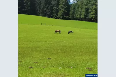 36706 Happy Hallow Rd, Blodgett, OR 97326 - Photo 3