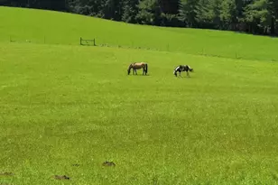 36706 Happy Hallow Rd, Blodgett, OR 97326 - Photo 3