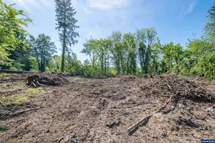 1400 Nandina St, Sweet Home, OR 97386 - Photo 25