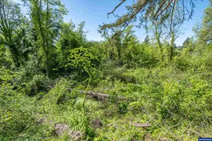 1400 Nandina St, Sweet Home, OR 97386 - Photo 29