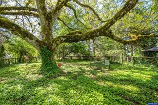 1400 Nandina St, Sweet Home, OR 97386 - Photo 9