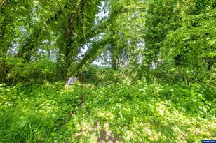 Parcel 2 1400 Nandina St, Sweet Home, OR 97386 - Photo 9