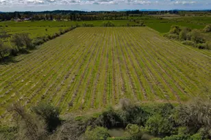 34974 Richardson Gap Rd, Lebanon, OR 97355 - Photo 13