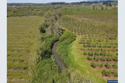 34974 Richardson Gap Rd, Lebanon, OR 97355 - Photo 11