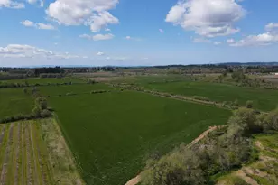 34974 Richardson Gap Rd, Lebanon, OR 97355 - Photo 15