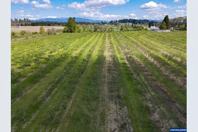 34974 Richardson Gap Rd, Lebanon, OR 97355 - Photo 3