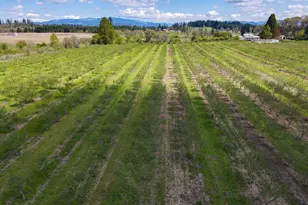 34974 Richardson Gap Rd, Lebanon, OR 97355 - Photo 3