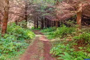 9602 Harlan Rd, Eddyville, OR 97343 - Photo 45