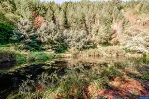 9602 Harlan Rd, Eddyville, OR 97343 - Photo 43