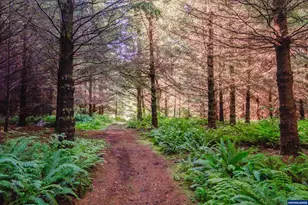 9602 Harlan Rd, Eddyville, OR 97343 - Photo 47