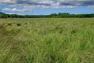 23380 Hoskins Rd, Philomath, OR 97370 - Photo 19