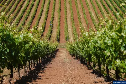 12000 NW Old Wagon Rd, Carlton, OR 97111 - Photo 49