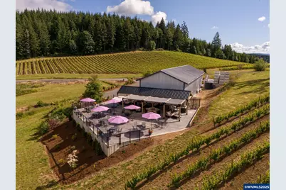 12000 NW Old Wagon Rd, Carlton, OR 97111 - Photo 5