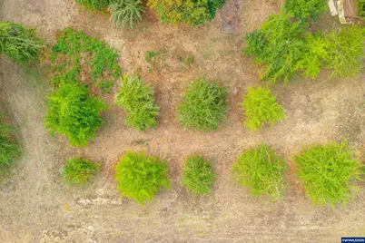 24975 S Yamhill River Rd, Willamina, OR 97396 - Photo 43