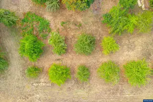 24975 S Yamhill River Rd, Willamina, OR 97396 - Photo 43