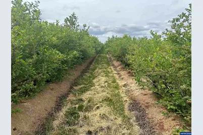 0 Lardon Rd NE, Salem, OR 97305 - Photo 7