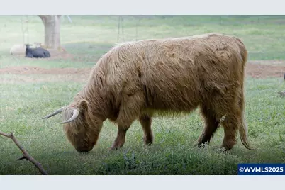 8680 Aumsville Hwy SE, Salem, OR 97317 - Photo 47