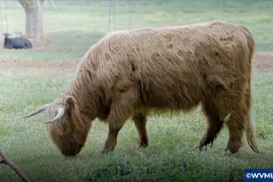 8680 Aumsville Hwy SE, Salem, OR 97317 - Photo 47