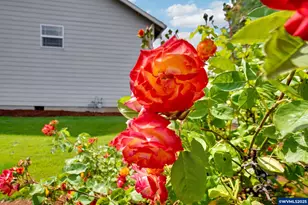 2142 Westfarthing Way NW, Salem, OR 97304 - Photo 43