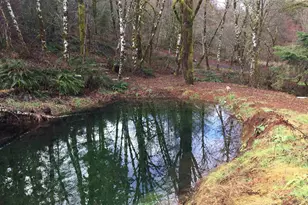 6100 Teal Creek Rd, Dallas, OR 97338 - Photo 45