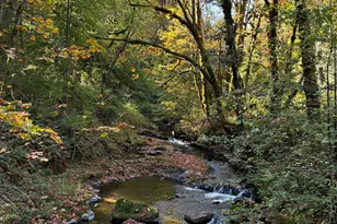 6100 Teal Creek Rd, Dallas, OR 97338 - Photo 43